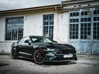 Specialaus leidimo naujas „Ford Mustang Bullitt“