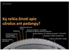 Ką reikia žinoti apie užrašus ant padangų? Ką reikia žinoti apie užrašus ant padangų?