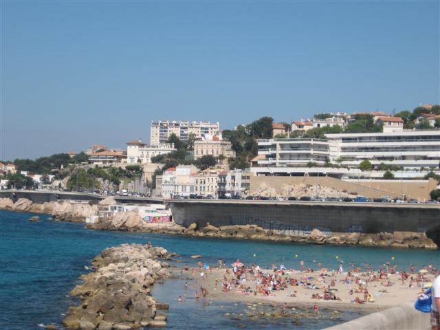 Marselio_pliazai__Small_
