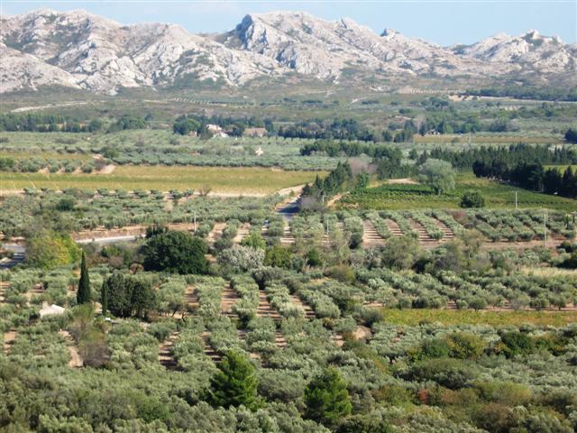 lesalpilles_2__Small_