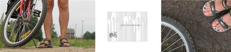 dviratukai__2___Medium_