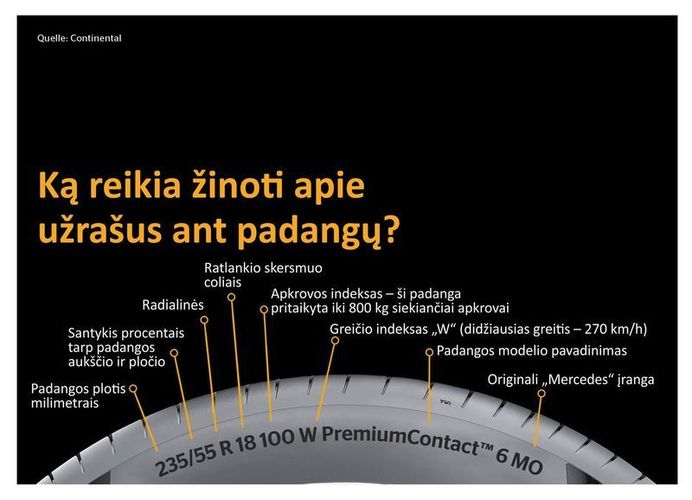 1_U_ra_ai_ant_padang_