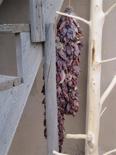 kelione_po_Amerika__43_