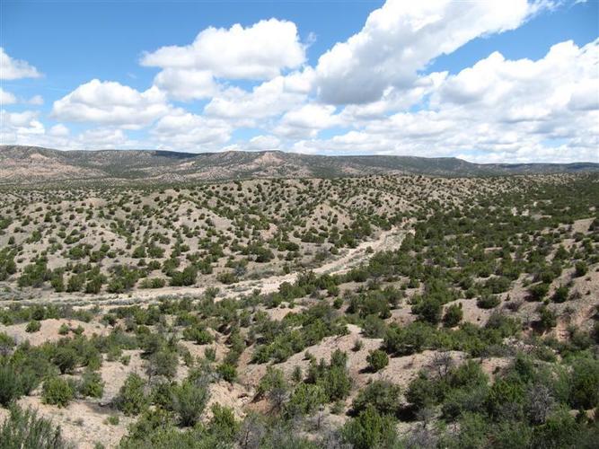 kelione_po_Amerika__40_