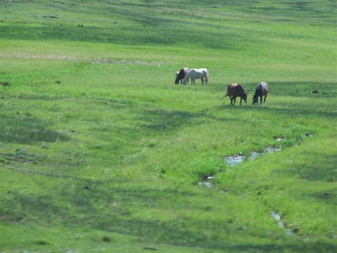 kelione_po_Amerika__47_