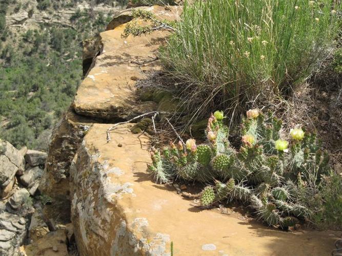 kelione_po_Amerika__52_