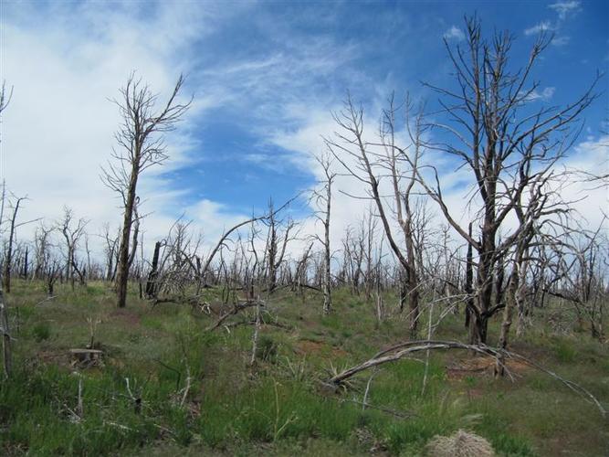 kelione_po_Amerika__53_