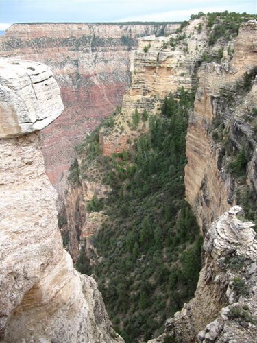 kelione_po_Amerika__66_