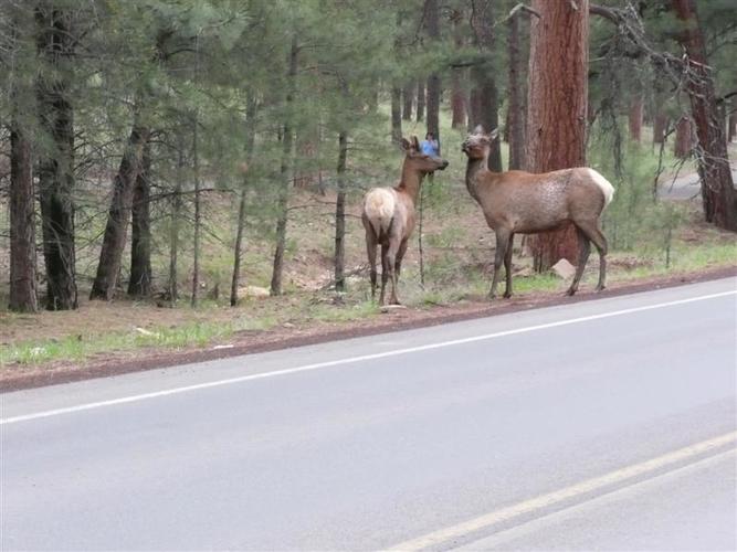 kelione_po_Amerika__76_