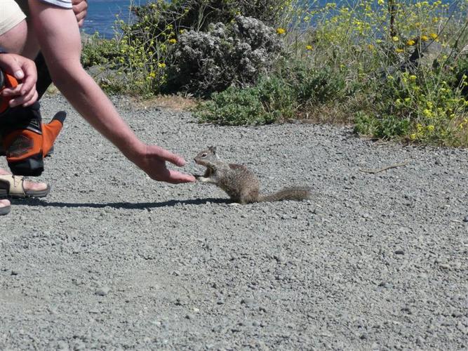 kelione_po_Amerika__82_