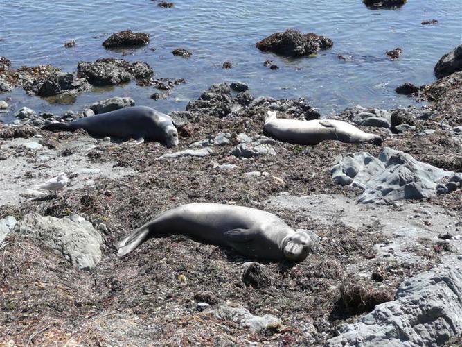 kelione_po_Amerika__81_