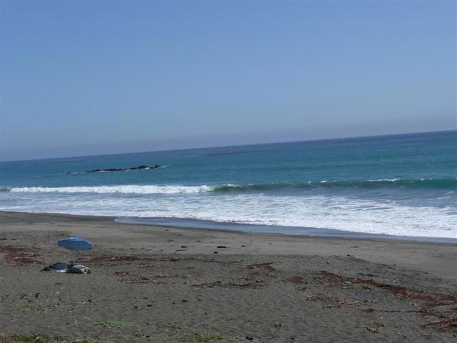 kelione_po_Amerika__80_