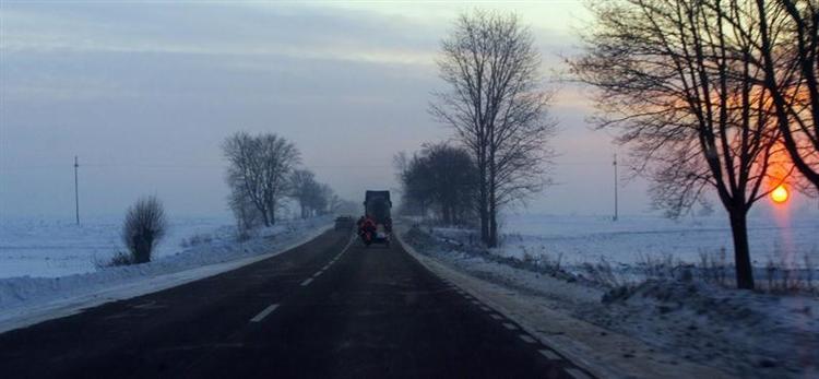 Elefantentreffen_2010__1___Medium_