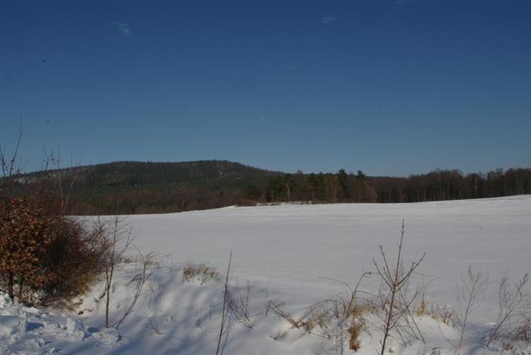 Elefantentreffen_2010__18___Medium_