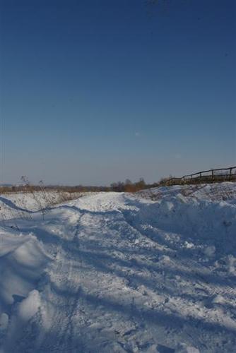 Elefantentreffen_2010__19___Medium_