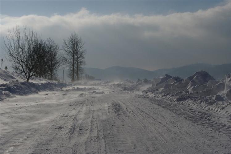 Elefantentreffen_2010__20___Medium_