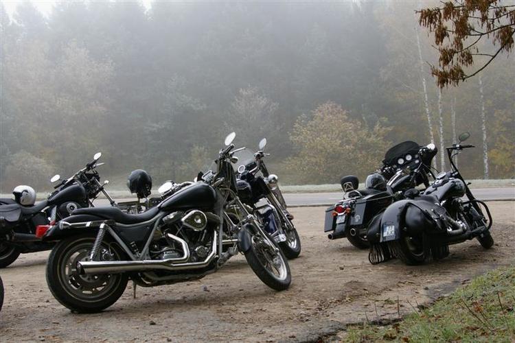 crazy_in_the_dark_mc