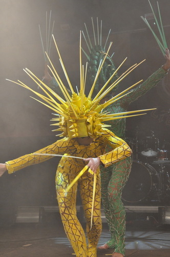 koncertas_Tevynei__6_