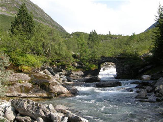 13-P8203976-tiltas-maziesie__Small_