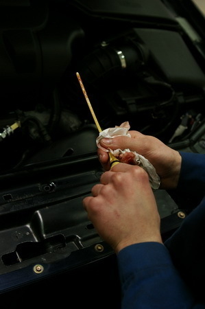 automatines_pavaru_dezes__18_