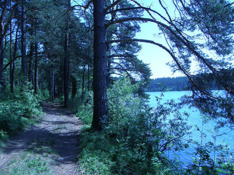 P6235905-kelias-palei-alnio