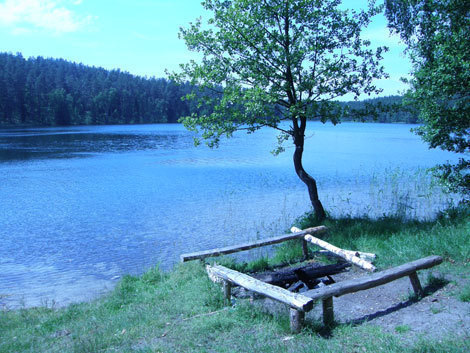 P6235906-alnio-ezero-stovyk