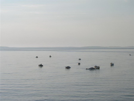 kelione_i_Ventes_raga__47_