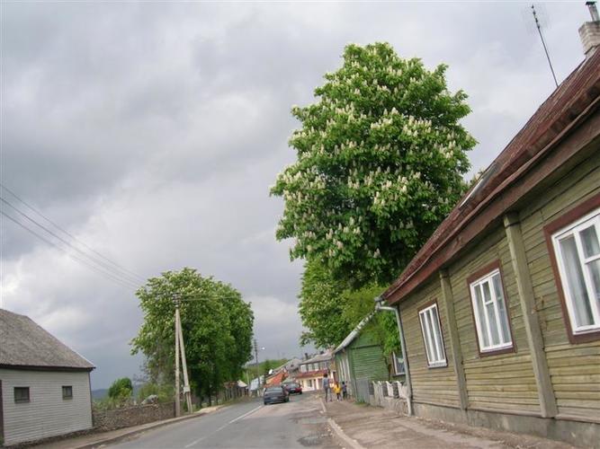 kelione_i_Ventes_raga__10_