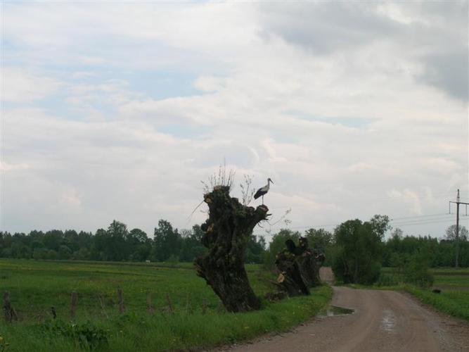 kelione_i_Ventes_raga__36_