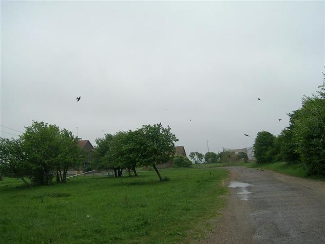 kelione_i_Ventes_raga__59_