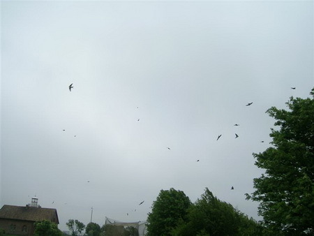 kelione_i_Ventes_raga__62_