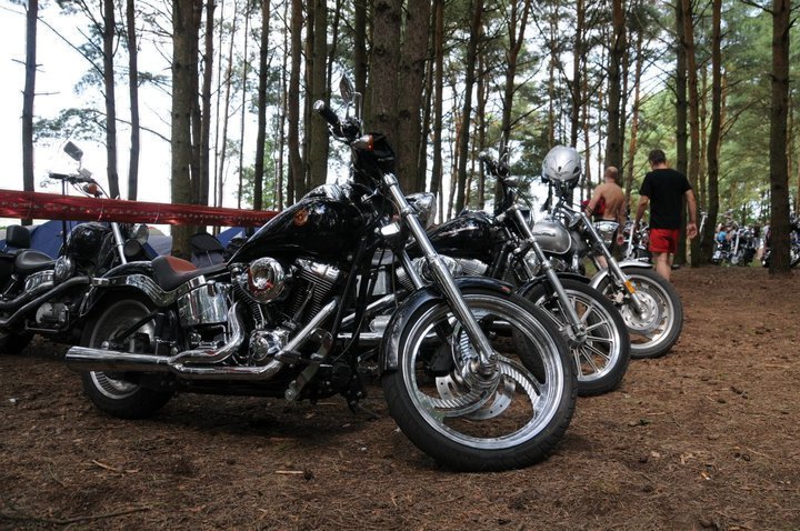 38181_1540711644187_1426824031_1464855_3999175_n