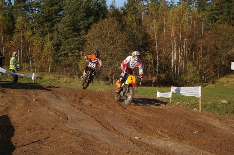 retro_krosasjpg__10_