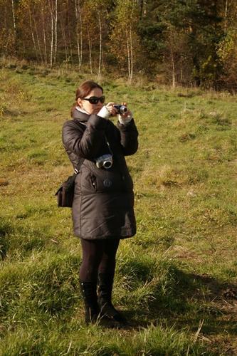 retro_krosasjpg__53_