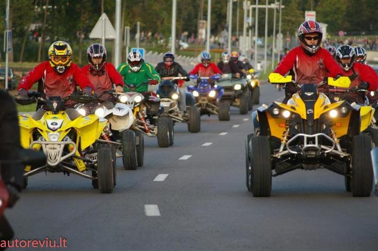 crazy_basket__6___Large_