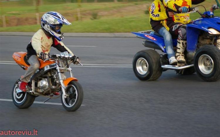 crazy_basket__7___Large_