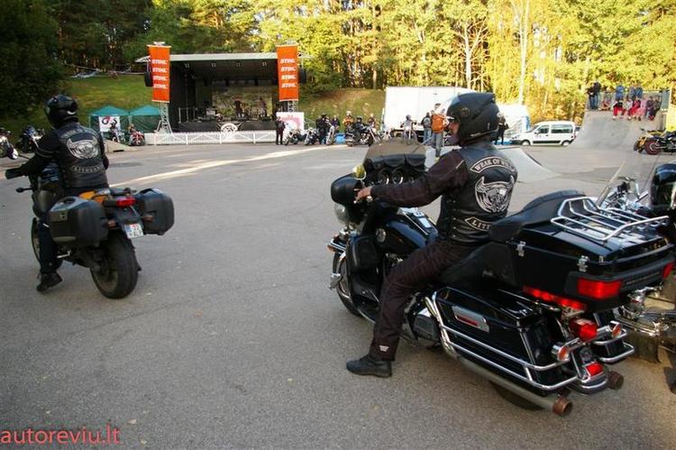 crazy_basket__10___Large_