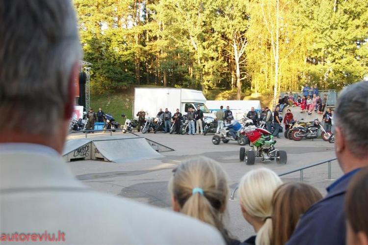 crazy_basket__13___Large_