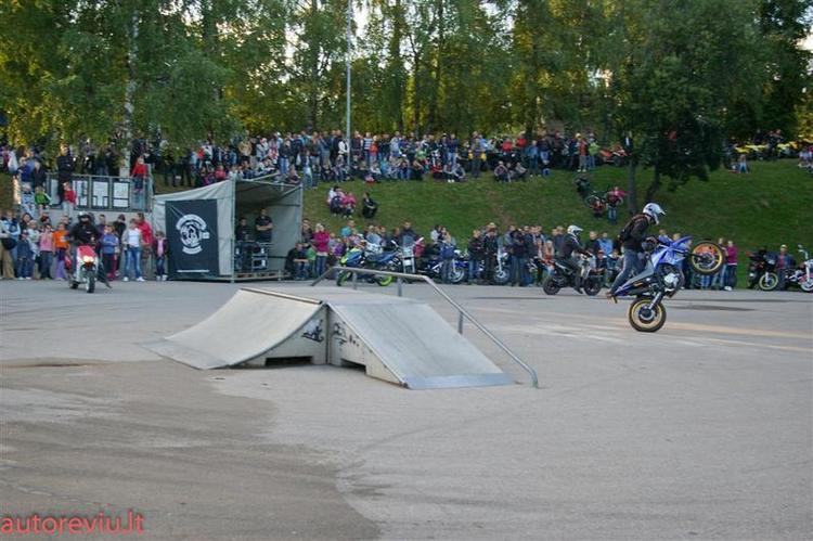 crazy_basket__15___Large_