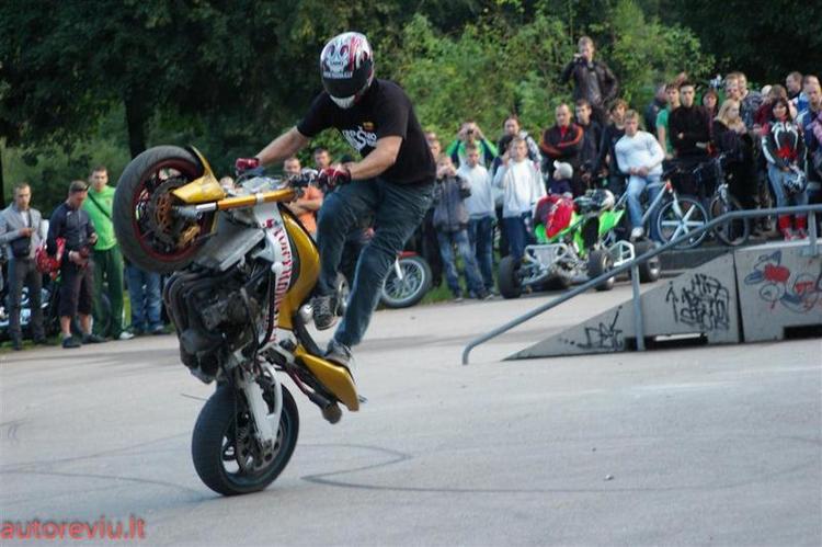 crazy_basket__21___Large_