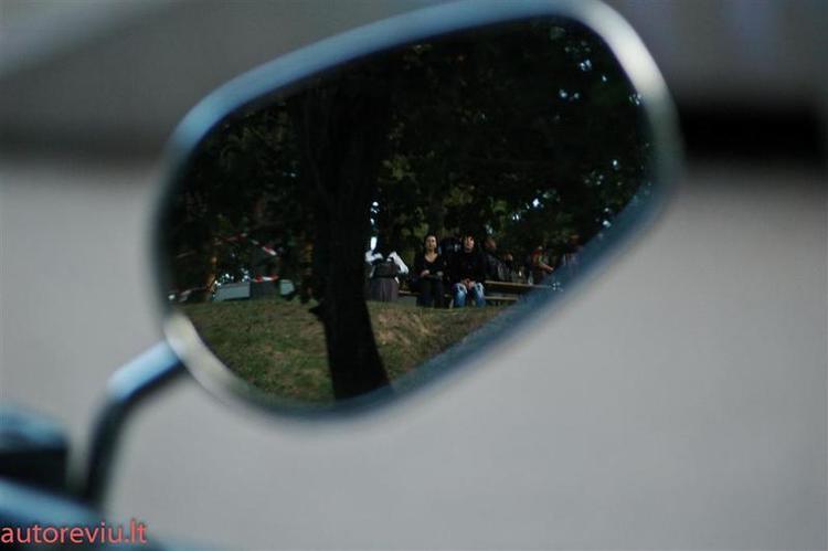 crazy_basket__22___Large_