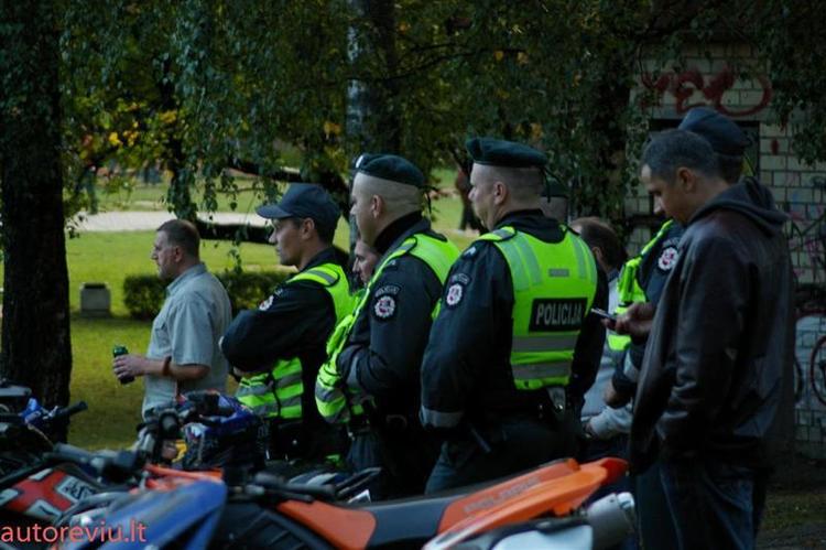 crazy_basket__25___Large_