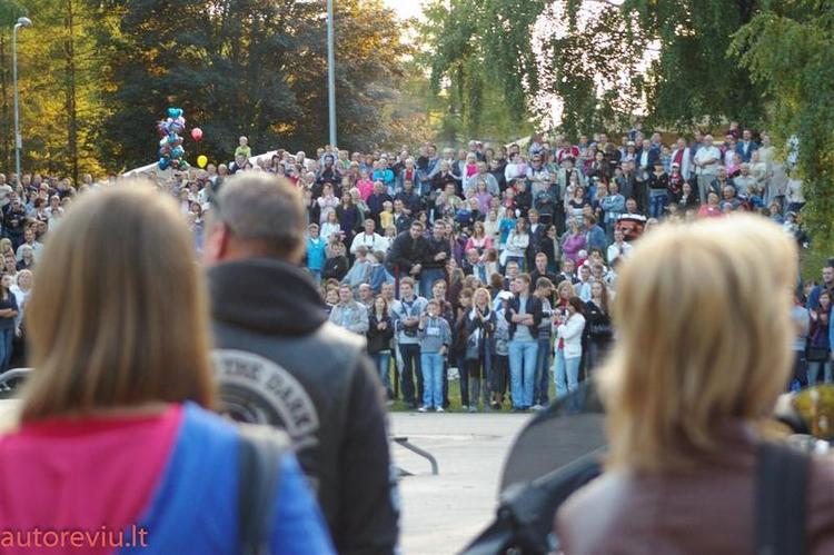 crazy_basket__28___Large_