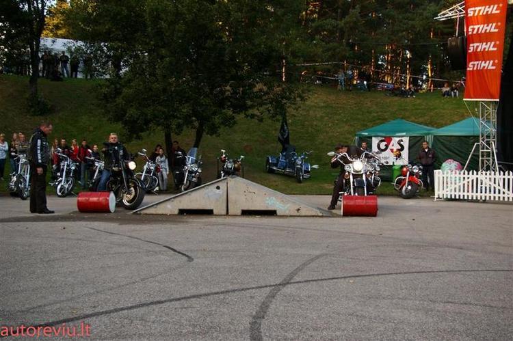 crazy_basket__34___Large_