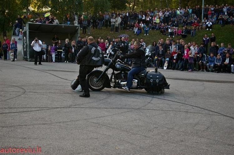 crazy_basket__35___Large_