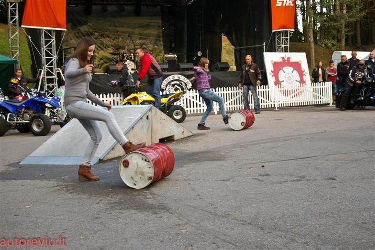 crazy_basket__38___Large_