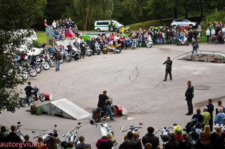 crazy_basket__41___Large_