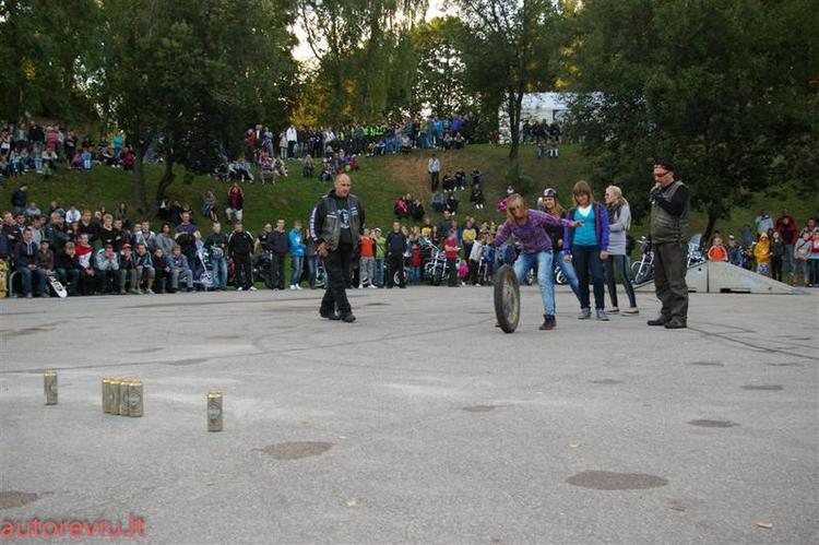 crazy_basket__46___Large_