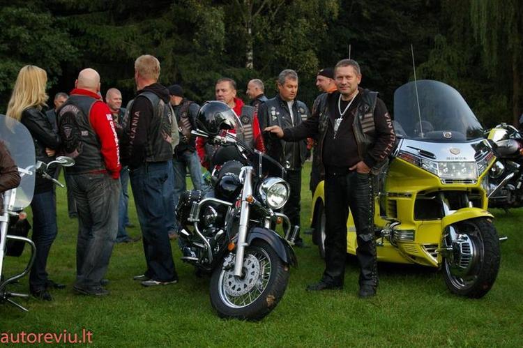 crazy_basket__49___Large_