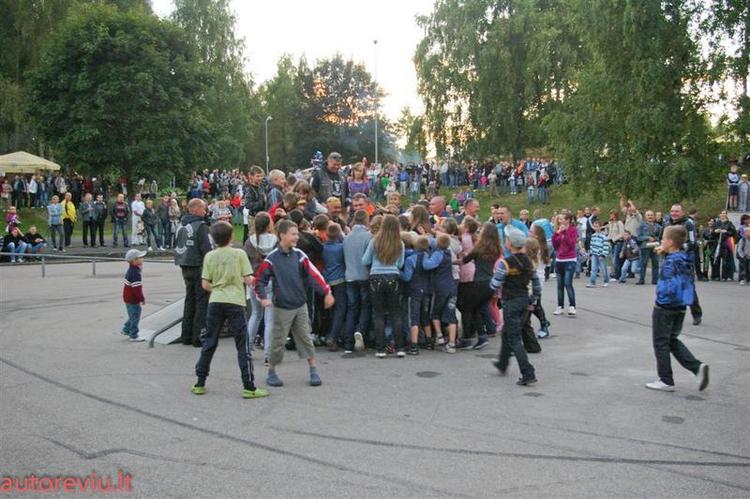 crazy_basket__52___Large_